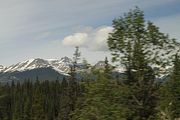 29 - Banff to Icefields - IMG_0944